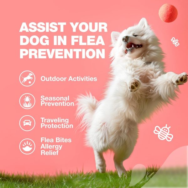 Dog Flea and Tick Chews Chewia 180 Soft Chews-3
