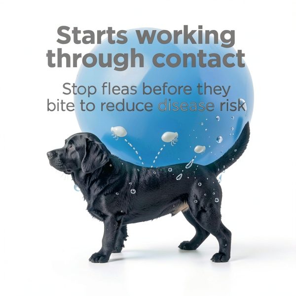 Dog Flea Drops TevraPet Activate II 30 Day-5