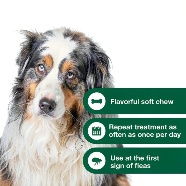 Advantus Flea Chew Dogs Fast Acting Soft Chew Treatment-3