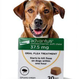 Advantus Flea Chew Dogs Fast Acting Soft Chew Treatment-0