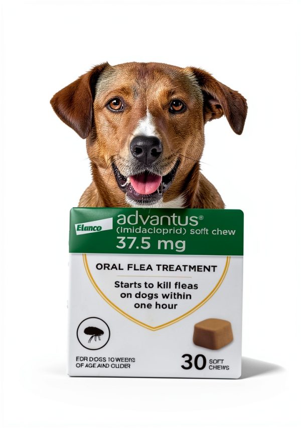 Advantus Flea Chew Dogs Fast Acting Soft Chew Treatment-0