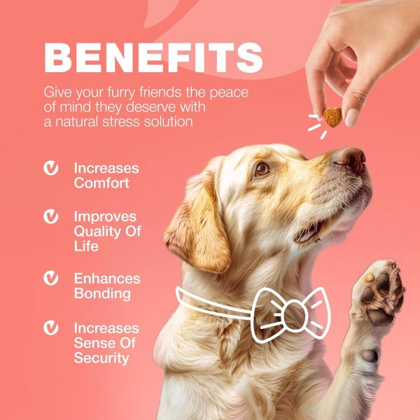 Dog Flea and Tick Chews Chewia 180 Soft Chews-7