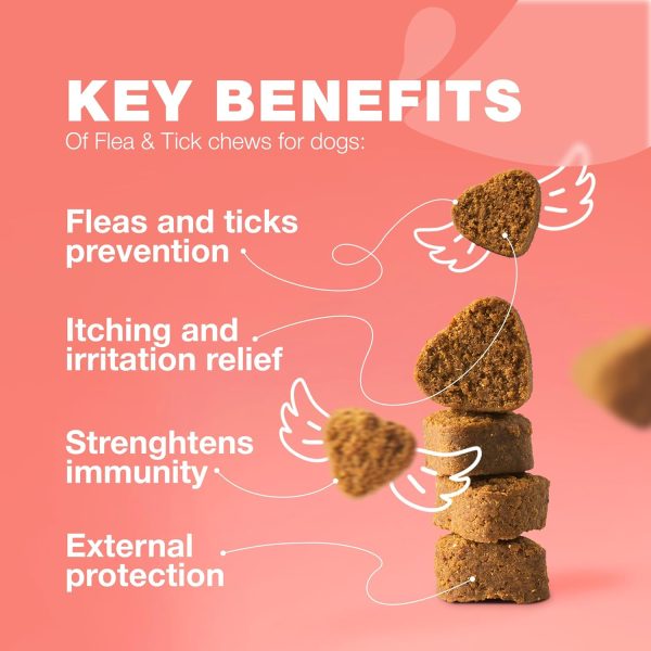 Dog Flea and Tick Chews Chewia 180 Soft Chews-2