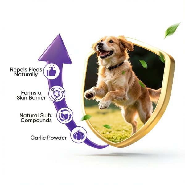 TTLXBL Dog Flea Chewable Chicken Flavor Long Term Protection-1