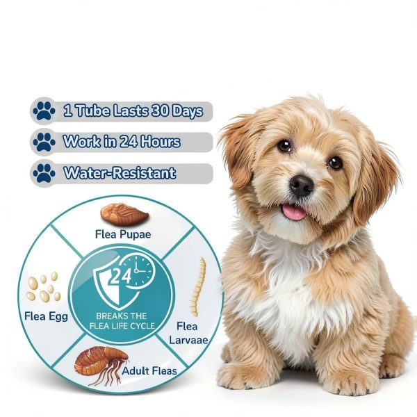 Lerqua Dog Flea Drops 6 Month Supply Tick Prevention-3