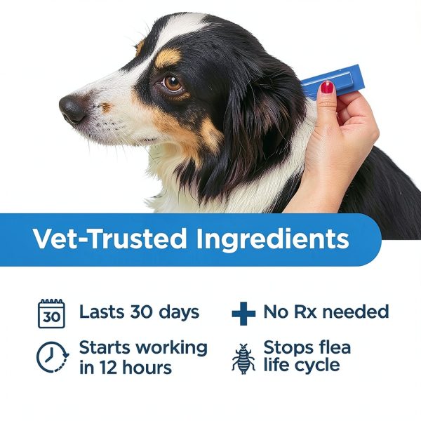 Dog Flea Drops TevraPet Activate II 30 Day-4