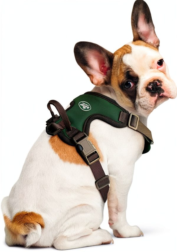 Little Earth Adjustable Pet Harness XL Unisex with D‑Ring-1